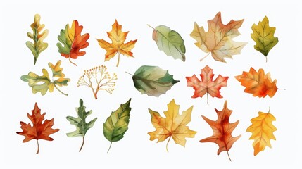 Fototapeta premium Autumn leaves set. Fall leaves. White background. Watercolor illustrations set
