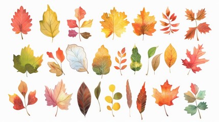 Obraz premium Autumn leaves set. Fall leaves. White background. Watercolor illustrations set