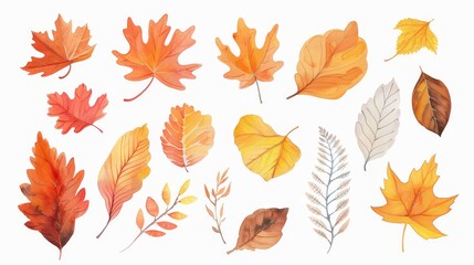 Autumn leaves set. Fall leaves. White background. Watercolor illustrations set