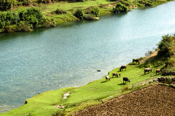 Rivers and beautiful natural scenery in the mountains of Guizhou, China.