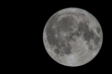 バックムーン02 2024.07.21