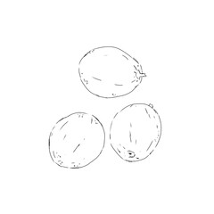 Coffee fruit black and white illustration graphic line art style