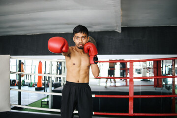 Asian Fighter Man With Black Boxing Gloves Showing Boxer Movement In Boxing Ring