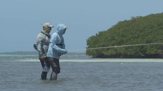 Two anglers fly fishing in shallow tropical waters near lush mangroves on a sunny day