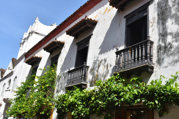 Balcony of historic home with vines and flowers in Historic Section of Old City in Cartagena, Colombia 