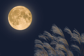 秋の満月の夜とススキの穂｜十五夜イメージ © kasa