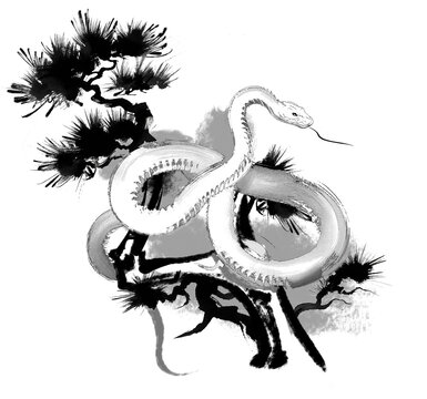 白蛇 Images – Browse 4,333 Stock Photos, Vectors, and Video