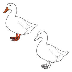 Duck Colorful Line Art Vector Illustration