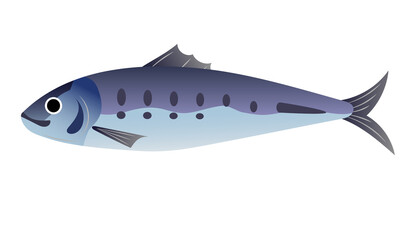 一匹のイワシのシンプルなイラスト