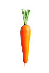 carrot on transparent isolated background