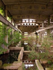 Industrial landscape of a large abandoned factory floor made of concrete slabs and flooded with water and overgrown with trees. In the middle of an abandoned large workshop. Vertical photo of an aband