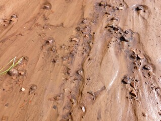 Texture of brown wet silt after rain with traces of streams on the surface.