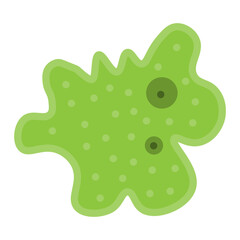 amoeba 
