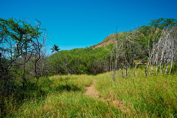 Landscape, mountain and nature with path outdoor for travel, vacation and environment for hiking adventure. Wilderness, grass and blue sky with trekking trail, sustainable plants or green destination