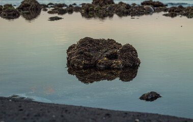 Evening atmosphere on the coral rocky coastline at low tide