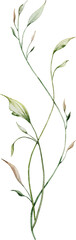 Watercolor botanical leaves branch