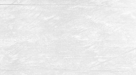 Fototapeta premium White wood texture with beautiful natural patterns in retro concept.