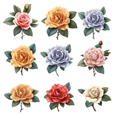 Set of colorful 3d render rose blossom, isolated beautiful flowers illustration on transparent background isolated on a transparent background