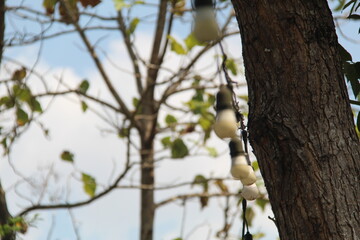 Old lamp post against blur background