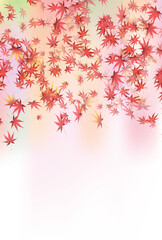 紅葉　もみじ　秋　背景