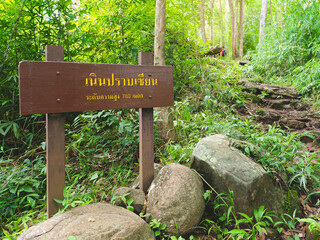 Forest trail in Phu Soi Dao National Park, Thailand. Location sign in Thai language translate in English is Noen Prap Sian (Name of hill) height 780 meters.