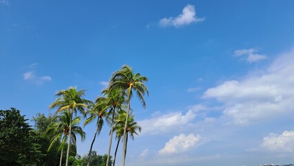 Obraz premium Beautiful Clouds with Blue Sky In Singapore