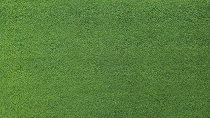 Green grass background, top view background of garden bright grass concept used for making green backdrop, lawn for sports field,