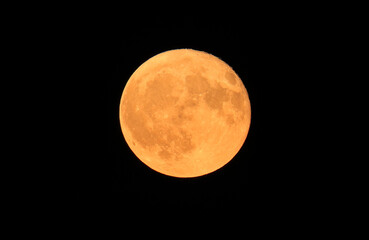 Orange Full moon with black background, Montreal, Canada