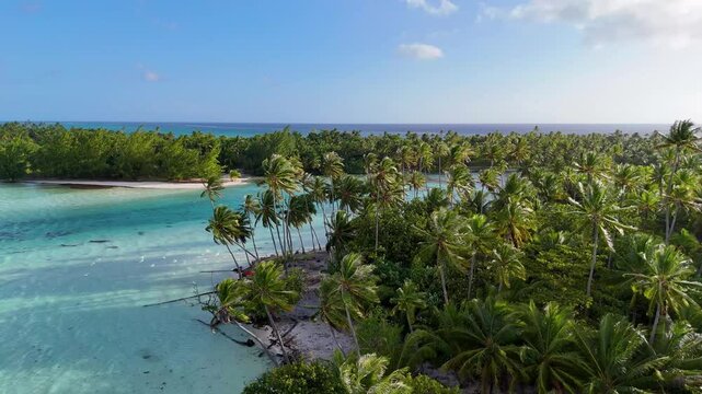 Clear turquoise ocean water rolls into a coral reef with the current. Wind blows through the palm trees on the tropical island motu near Taha'a and Bora Bora in French Polynesia. Aerial drone footage.