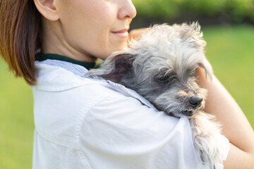 Yong asian woman in white shrit of cheerful with old dog at outdoors. Female playing with her little adopted dog pet and owner having good time together. Hugs and kisses, Love, Care, Friendship