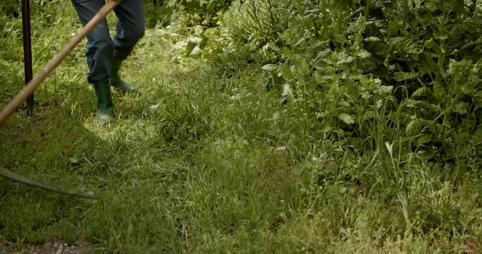 A senior man works in the garden using a scythe to trim grass and weeds. This scene highlights the concept of outdoor activity and gardening.