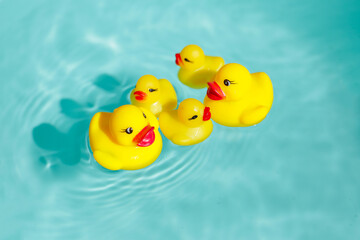 Rubber ducks in blue water