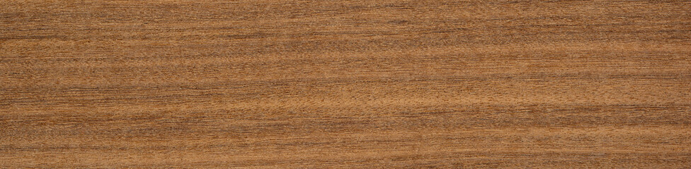 Fototapeta premium Afrormosia veneer with rich, straight grain and deep golden-brown tones