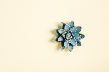 Naklejka premium Decorative ceramic succulent.