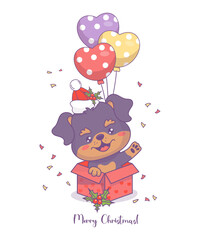 Happy Christmas puppy with balloons in festive gift box. Cute holiday cartoon kawaii character animal dog Rottweiler. Vector illustration. Kids collection. Merry Christmas card