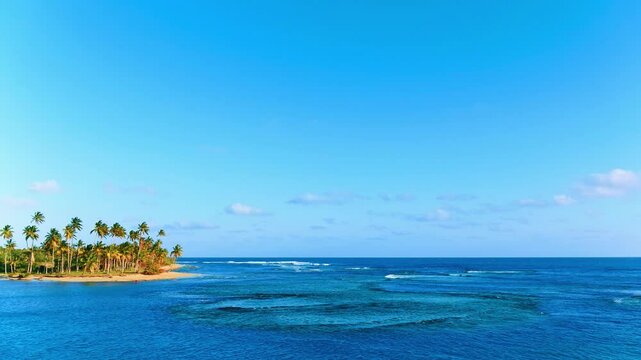 Picturesque view of the beach line with tall palm trees and the sea. Golden sand. Bright morning summer sun and blue sky with light clouds. Drone flying over the ocean. Island beach on a clear day.