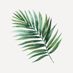 Elegant watercolor tropical palm leaf