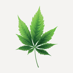 Detailed green cannabis leaf illustration