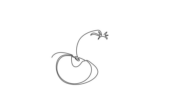 Fruits concept. Single line draw design. Full length animation illustration. High quality 4k footage.