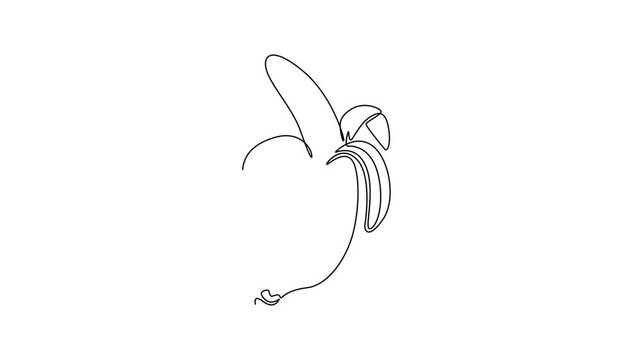 Fruits concept. Single line draw design. Full length animation illustration. High quality 4k footage.