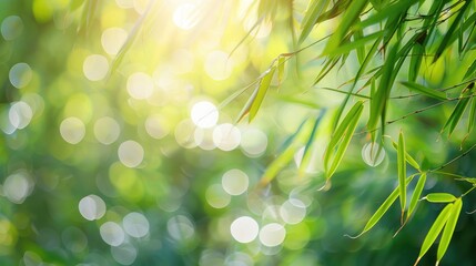 Obraz premium Blurred bamboo and meadow with natural light and bokeh leaves.