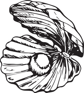 Sea shell with pearl