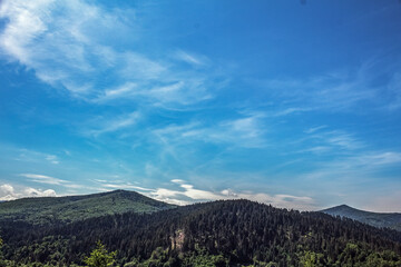 Landscapes -  Forest - Europe, Romania, Suceava region