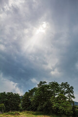 Landscapes -  Forest - Europe, Romania, Suceava region