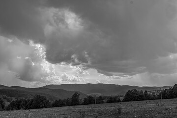 Landscapes -  Forest - Europe, Romania, Suceava region