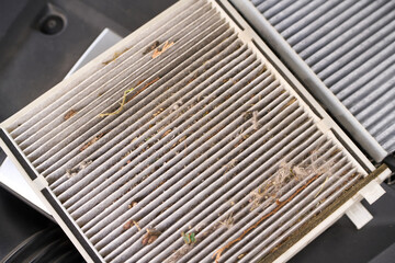 Dirty cabin filter affecting car air quality
