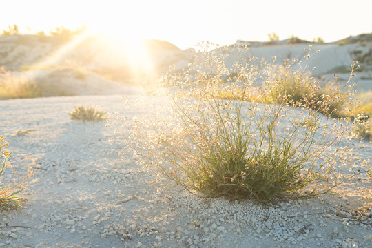 drought, rocky desert