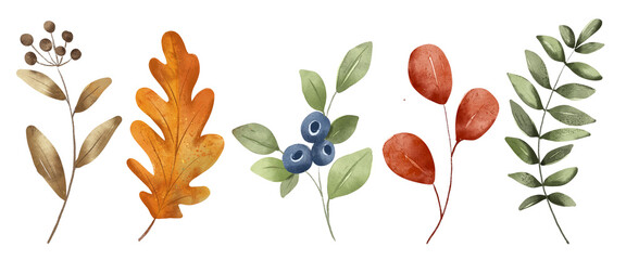 Leaves set hand drawing, digital botanical illustration. Autumn design.