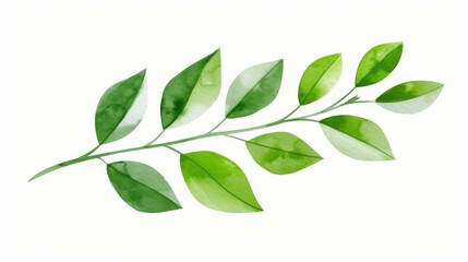 Obraz premium Vivid watercolor art of a lush green plant branch set against a background, showcasing natures elegance.