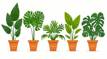 Obraz premium Explore a stylish collection of potted plants perfect for enhancing your home decor with trendy, vibrant indoor greenery.